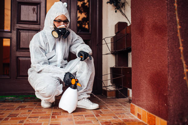 Attic and Crawl Space Rodent Treatment in Fort Myers Beach