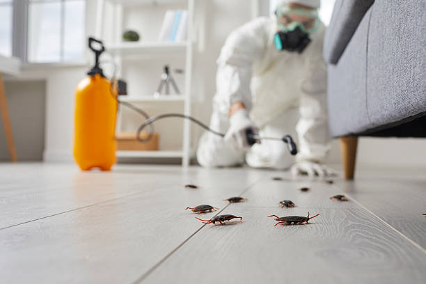Commercial Rodent Management in Fort Myers Beach